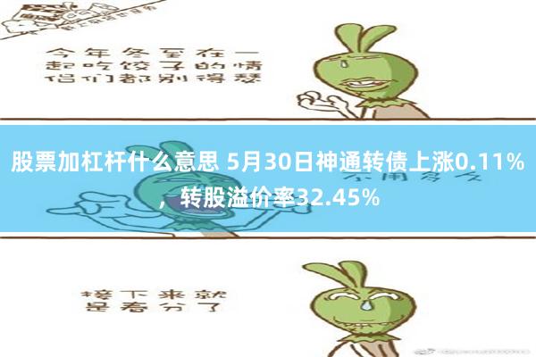 股票加杠杆什么意思 5月30日神通转债上涨0.11%，转股溢价率32.45%