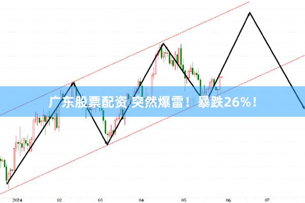 广东股票配资 突然爆雷！暴跌26%！