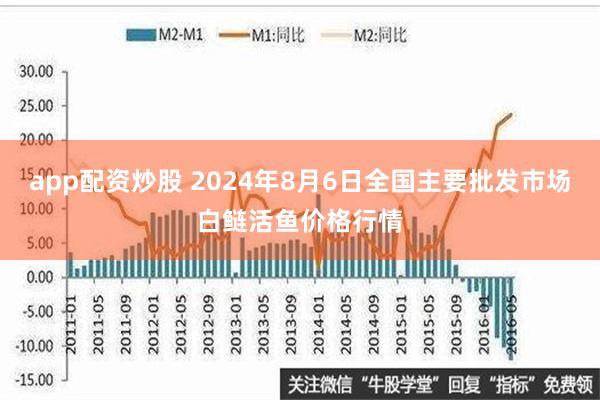 app配资炒股 2024年8月6日全国主要批发市场白鲢活鱼价格行情