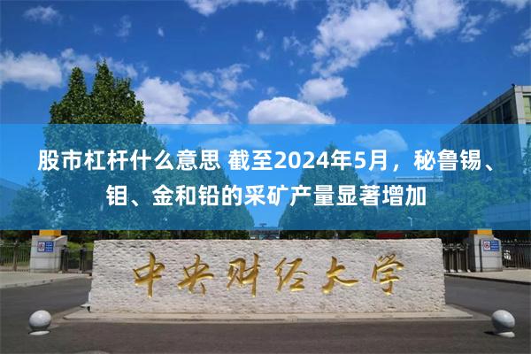 股市杠杆什么意思 截至2024年5月，秘鲁锡、钼、金和铅的采矿产量显著增加