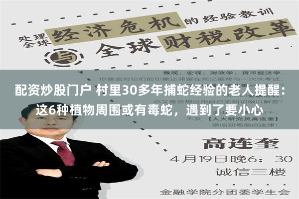 配资炒股门户 村里30多年捕蛇经验的老人提醒：这6种植物周围或有毒蛇，遇到了要小心