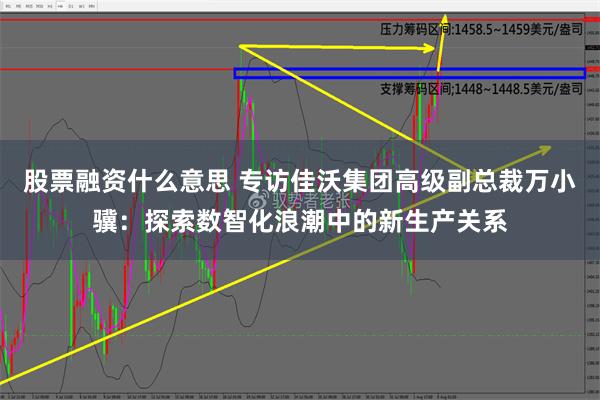 股票融资什么意思 专访佳沃集团高级副总裁万小骥：探索数智化浪潮中的新生产关系