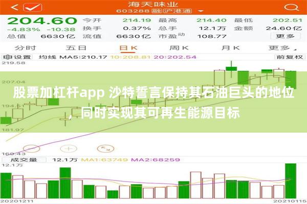 股票加杠杆app 沙特誓言保持其石油巨头的地位，同时实现其可再生能源目标