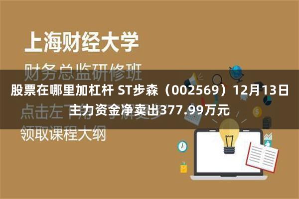 股票在哪里加杠杆 ST步森（002569）12月13日主力资金净卖出377.99万元