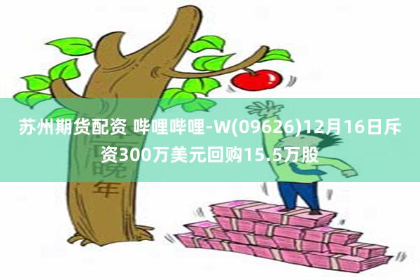 苏州期货配资 哔哩哔哩-W(09626)12月16日斥资300万美元回购15.5万股