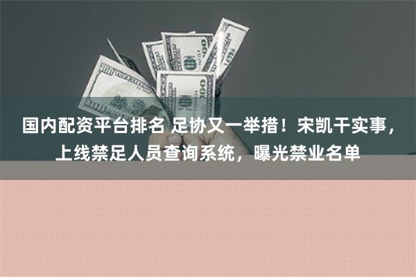 国内配资平台排名 足协又一举措！宋凯干实事，上线禁足人员查询系统，曝光禁业名单