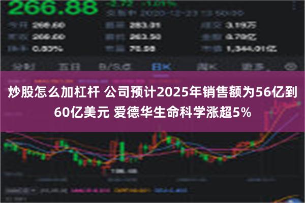 炒股怎么加杠杆 公司预计2025年销售额为56亿到60亿美元 爱德华生命科学涨超5%