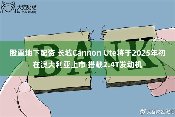 股票地下配资 长城Cannon Ute将于2025年初在澳大利亚上市 搭载2.4T发动机