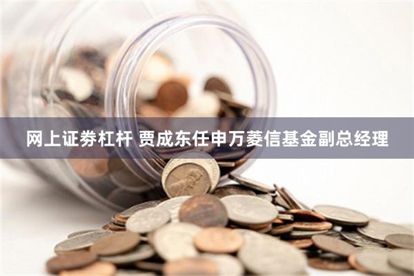 网上证劵杠杆 贾成东任申万菱信基金副总经理